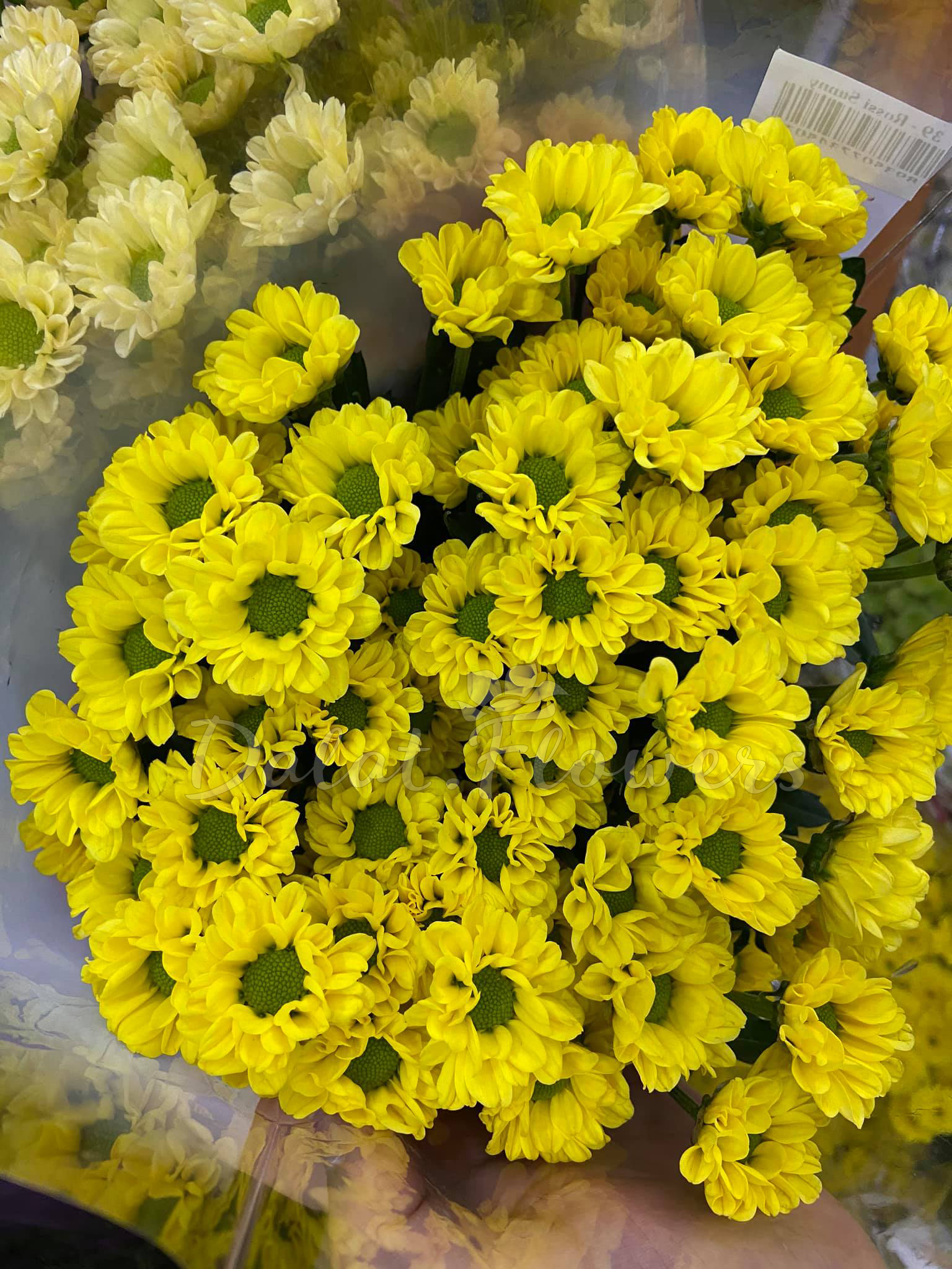 5 ý nghĩa của hoa cúc vàng trong ngày Tết truyền thống Việt Nam về hoa  tươi, điện hoa