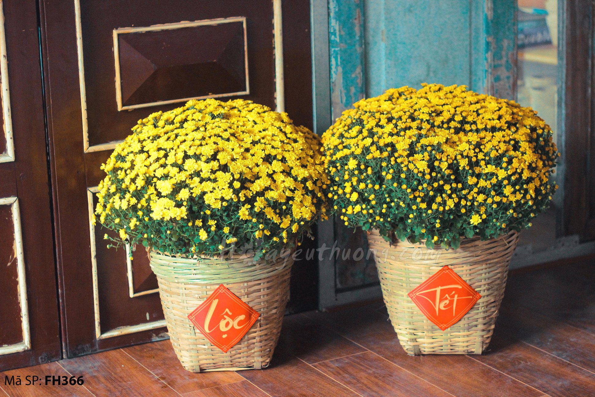 5 ý nghĩa của hoa cúc vàng trong ngày Tết truyền thống Việt Nam về ...