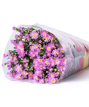Hoa thạch thảo tím (500g) - Hoa Yêu Thương