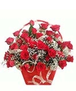 Tình yêu lung linh 2