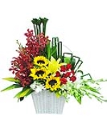 Hạnh phúc đong đầy