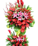 Mạnh Mẽ Tiến Bước