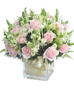 Hạnh Phúc Bắt Đầu