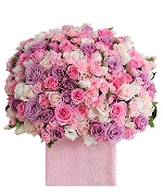 Yêu Thương Dịu Dàng