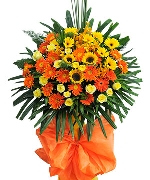 Vạn sự cát tường 2