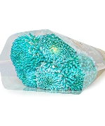 Cúc mẫu đơn xanh ngọc ĐL (5 cành)