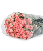 Hồng chùm tiên tử (10 cành)