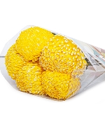 Cúc mẫu đơn vàng ĐL (5 cành)