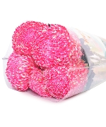 Cúc mẫu đơn đỏ (5 cành)