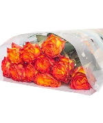 Hồng cam cháy (10 cành)