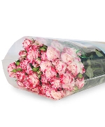 Hồng chùm chiết xạ (10 cành)