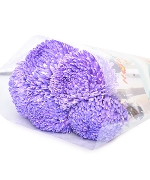Cúc mẫu đơn tím đậm (5 cành)