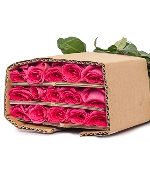 Hồng Pink Floyd DL (30 bông)