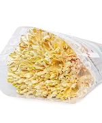 Đồng tiền cánh xoăn kem (20 cành)