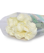 Hồng trắng Pao (10 cành)