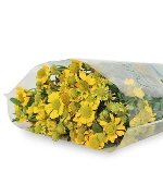 Cúc Hoạ Bì (300gr)