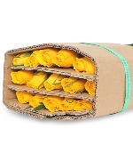 Hồng vàng Helen (30 cành)