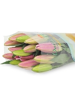 Lily hồng đậm (5 cành)