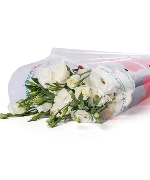 Cát tường trắng (500gr)