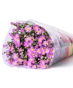 Thạch thảo tím (500gr)