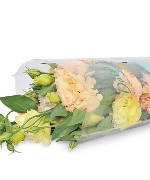 Cát tường nhật cam (500g)