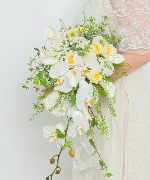 Tình Yêu Diệu Kỳ