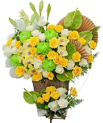 Tinh hoa