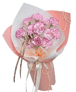 Carnation love