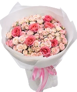 Dreamy pink