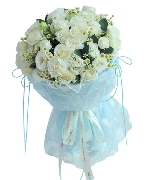 Flowers Express B11