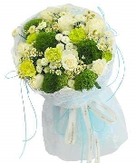 Flowers Express B13