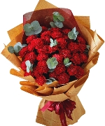 Bó hoa cẩm chướng đỏ