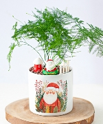 Kim thủy tùng giáng sinh