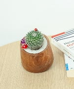 Kim ngân lượng 3