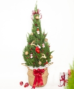 Thông noel size L mẫu 7