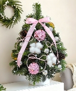 Thông Nordmann 40cm 02