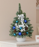 Holiday Blue Spruce