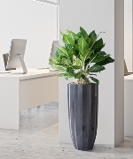 Mã Đáo Thành Công