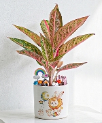 Cung Sư Tử