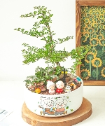 Mình cùng nhau già nha