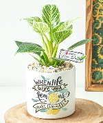 Vượt thử thách