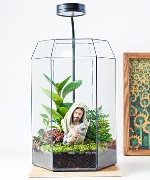 Bình An Của Chúa