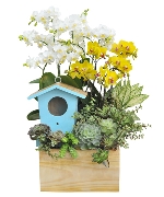 Birdhouse Garden 01