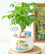 Bình yên và hạnh phúc