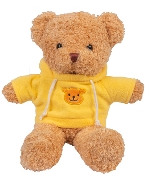 Teddy áo nón vàng