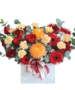 Rạng rỡ 2
