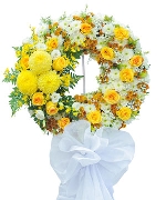 Hoa tang tông vàng trắng