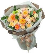 Chuyện của nắng