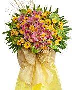 Vạn sự cát tường
