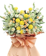 Hành trình tỏa sáng